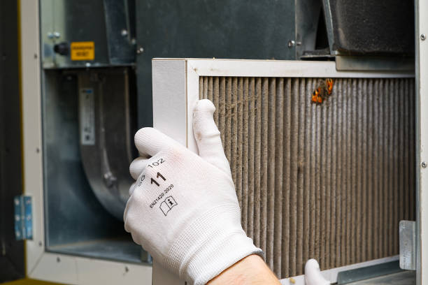 Best Affordable Duct Cleaning Services  in Tornillo, TX